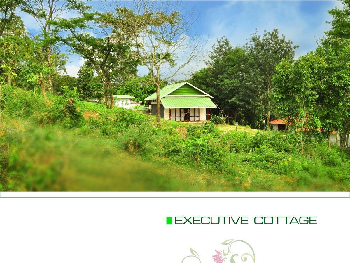Punarjani Ayurvedic Resorts Ramakkalmedu Exterior photo