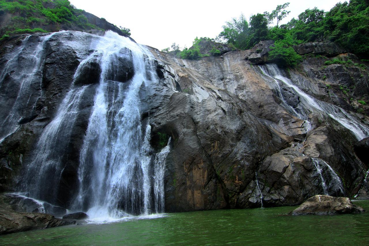 Punarjani Ayurvedic Resorts Ramakkalmedu Exterior photo